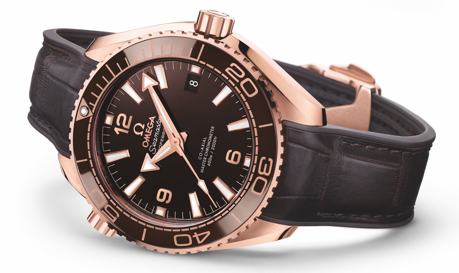 Omega Seamaster Planet Ocean 600