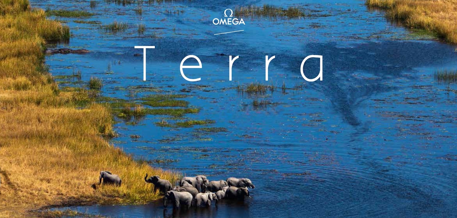 Omega Terra Header