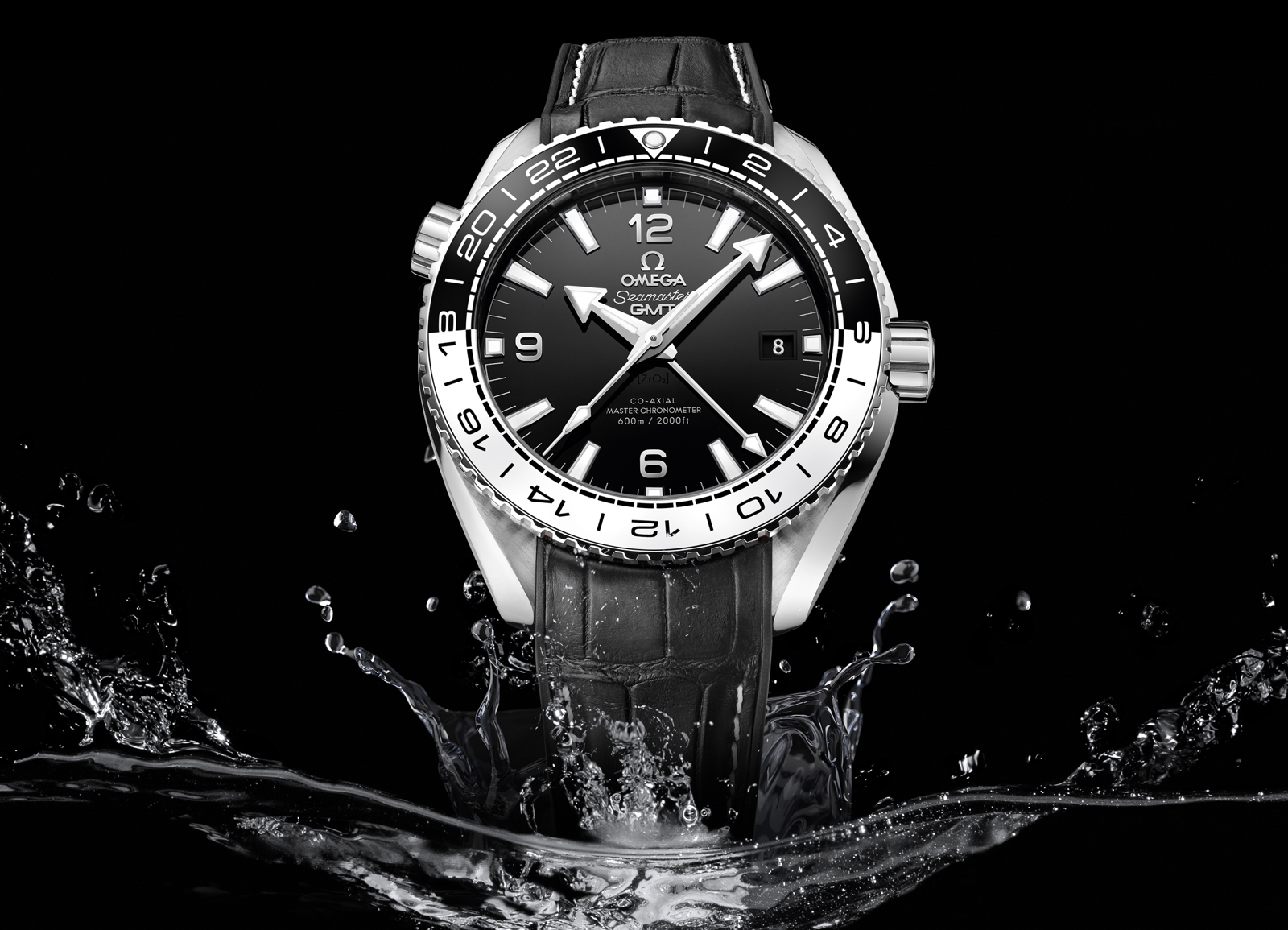 Omega Seamaster Planet Ocean Master Chronometer GMT Mood