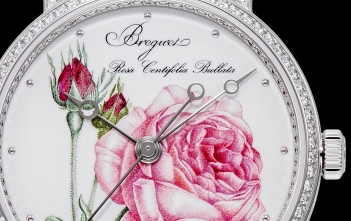 Breguet Classique Rose de la Reine