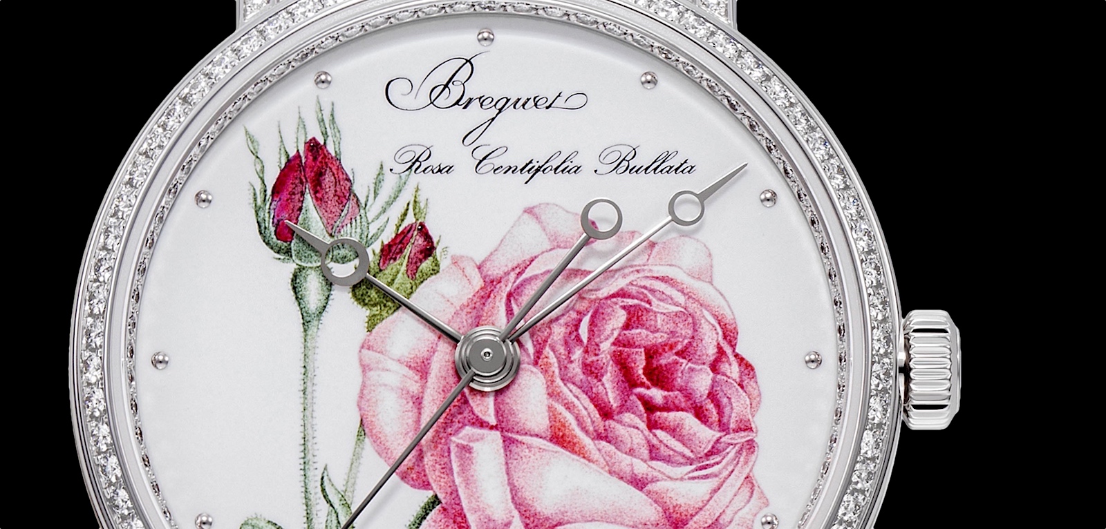 Breguet Classique Rose de la Reine