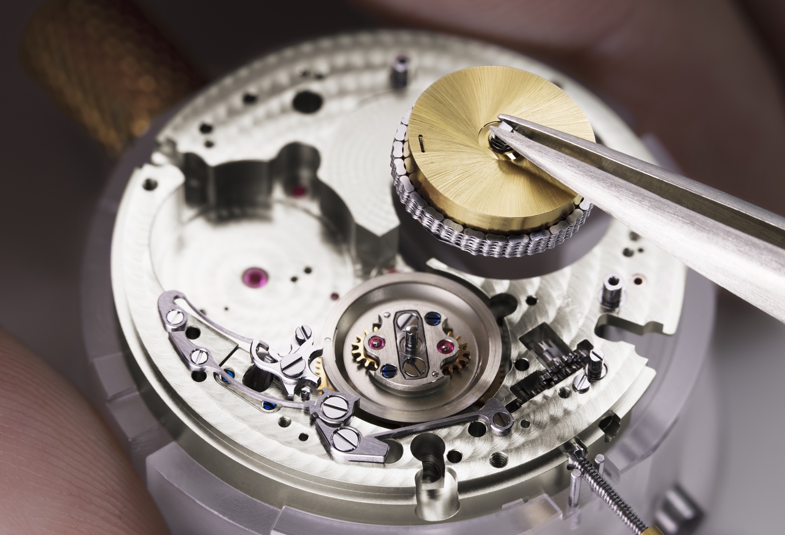 Lange Tourbograph Perpetual Pour le Merite Cadena y Caracol 1