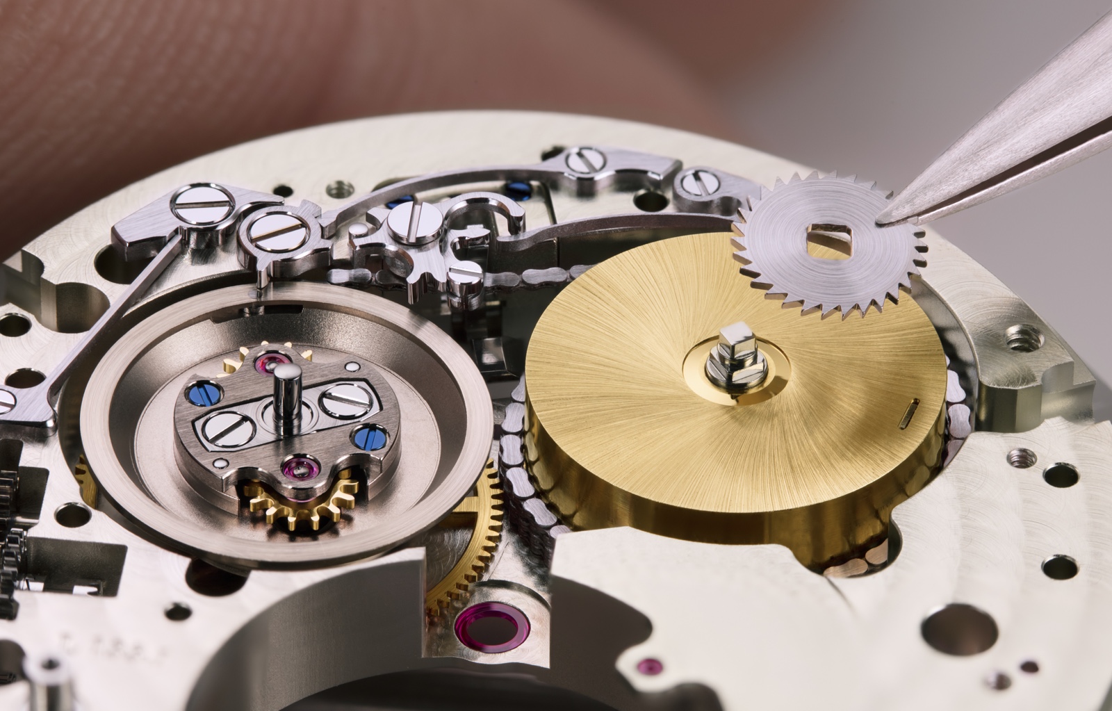 Lange Tourbograph Perpetual Pour le Merite Cadena y Caracol 2