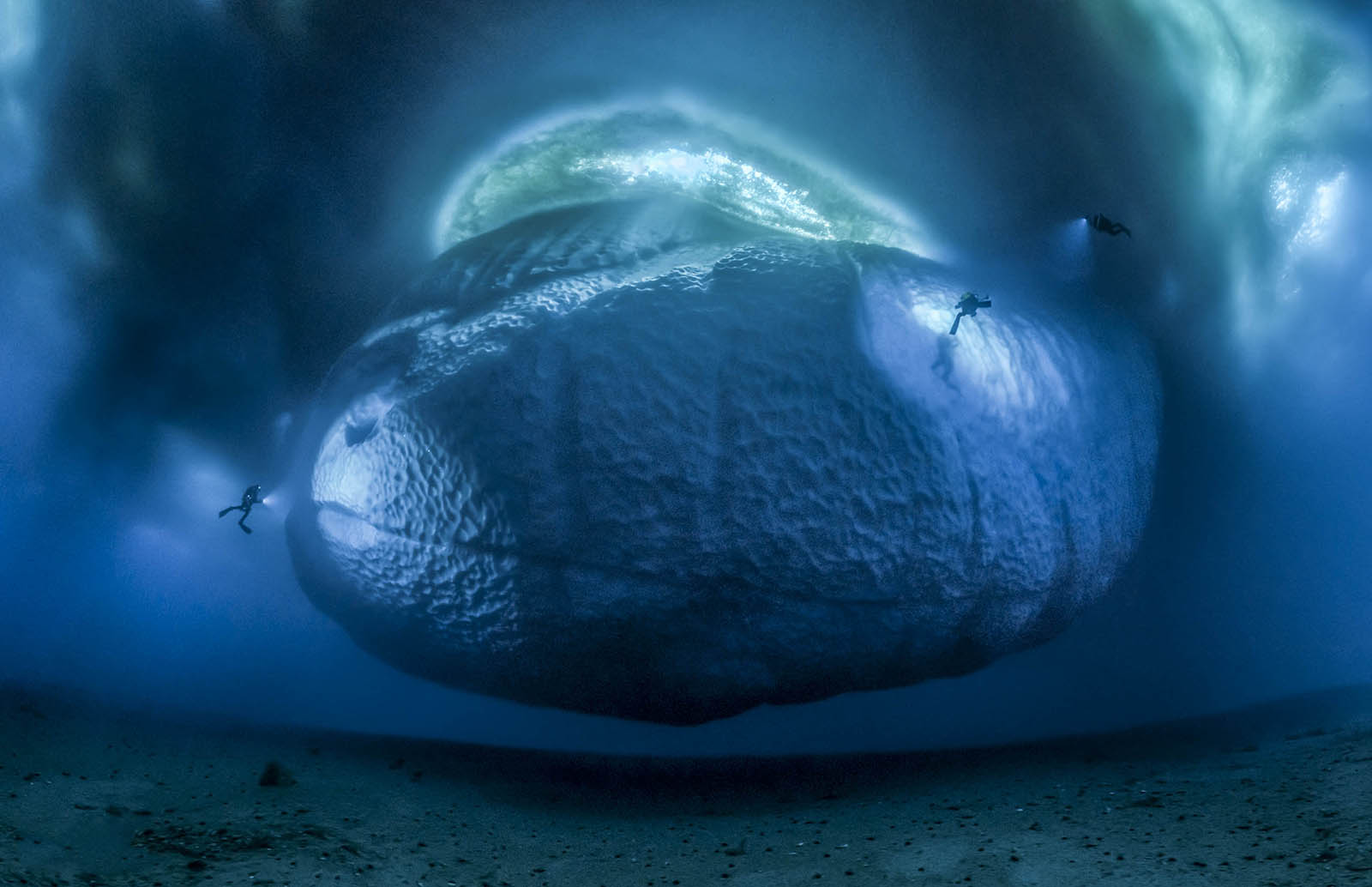 Blancpain Laurent Ballesta Wildlife Photographer Prize
