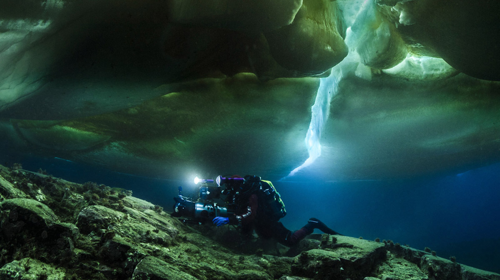 Blancpain Laurent Ballesta Wildlife Photographer Prize