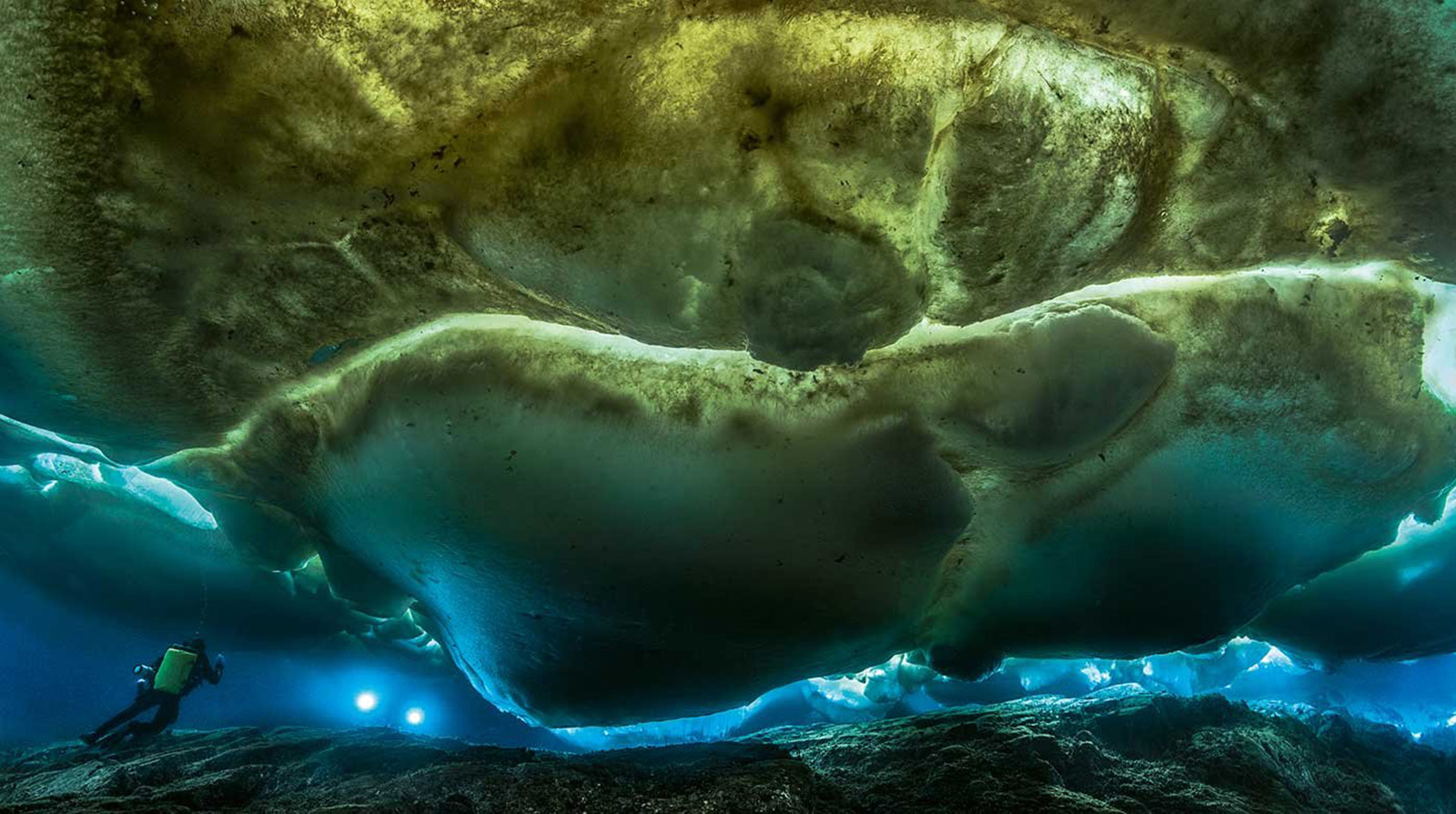 Blancpain Laurent Ballesta Wildlife Photographer Prize