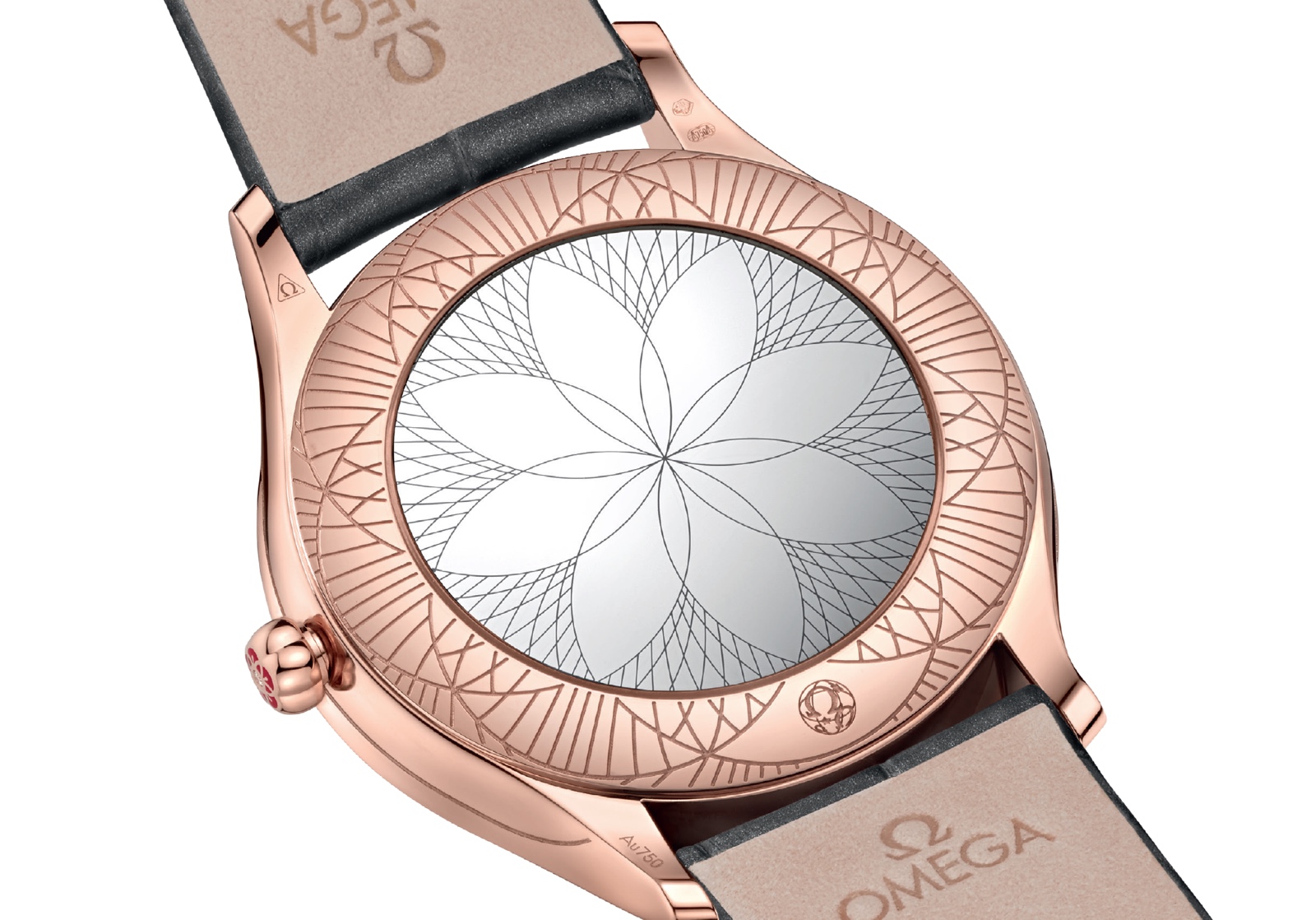 Omega preBasel 2018 Tresor Collection Back