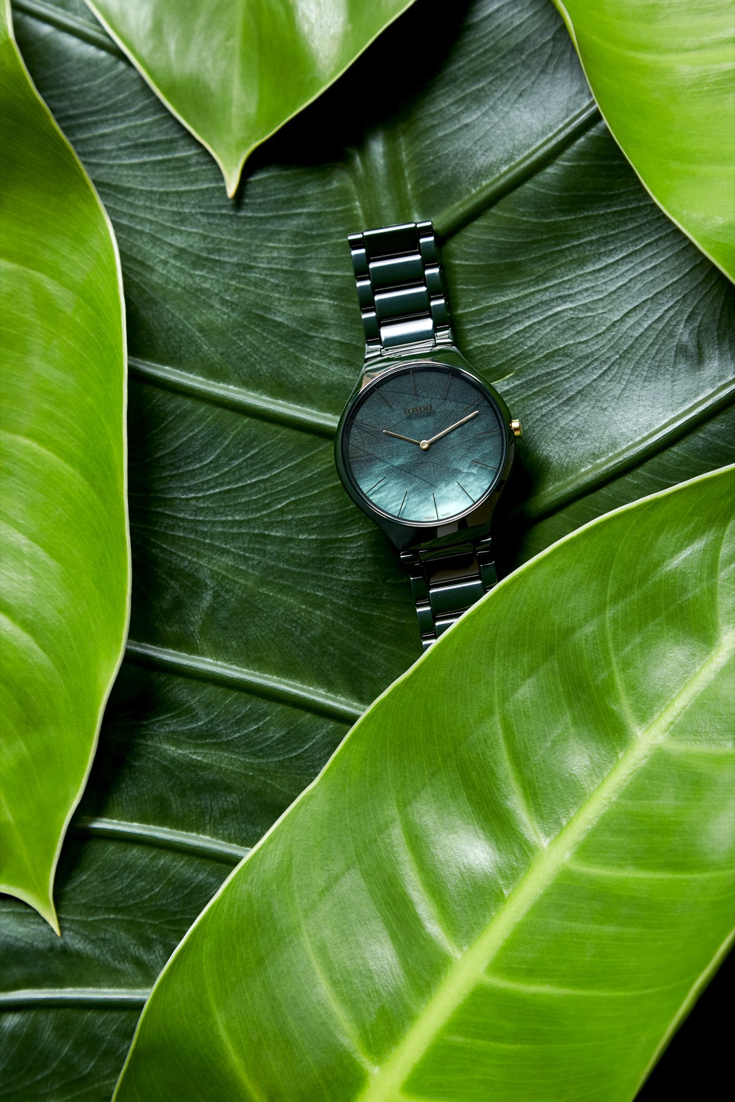Rado True Thinline Nature