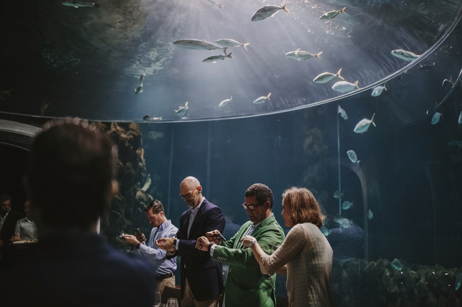 Blancpain Fifty Fathoms Ocean Commitment III