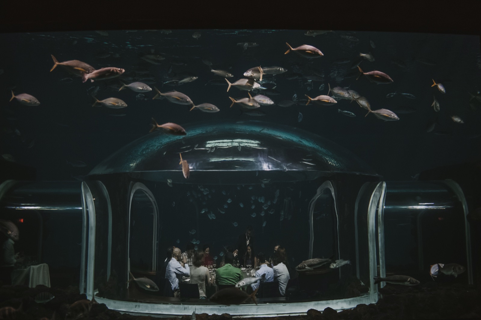 Blancpain Fifty Fathoms Ocean Commitment III