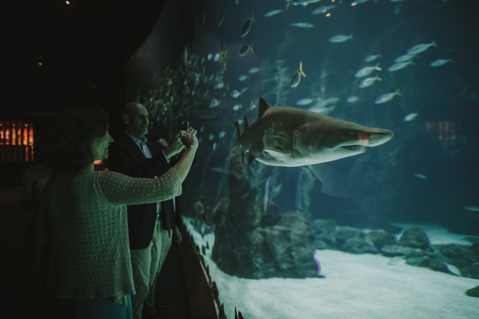 Blancpain Fifty Fathoms Ocean Commitment III