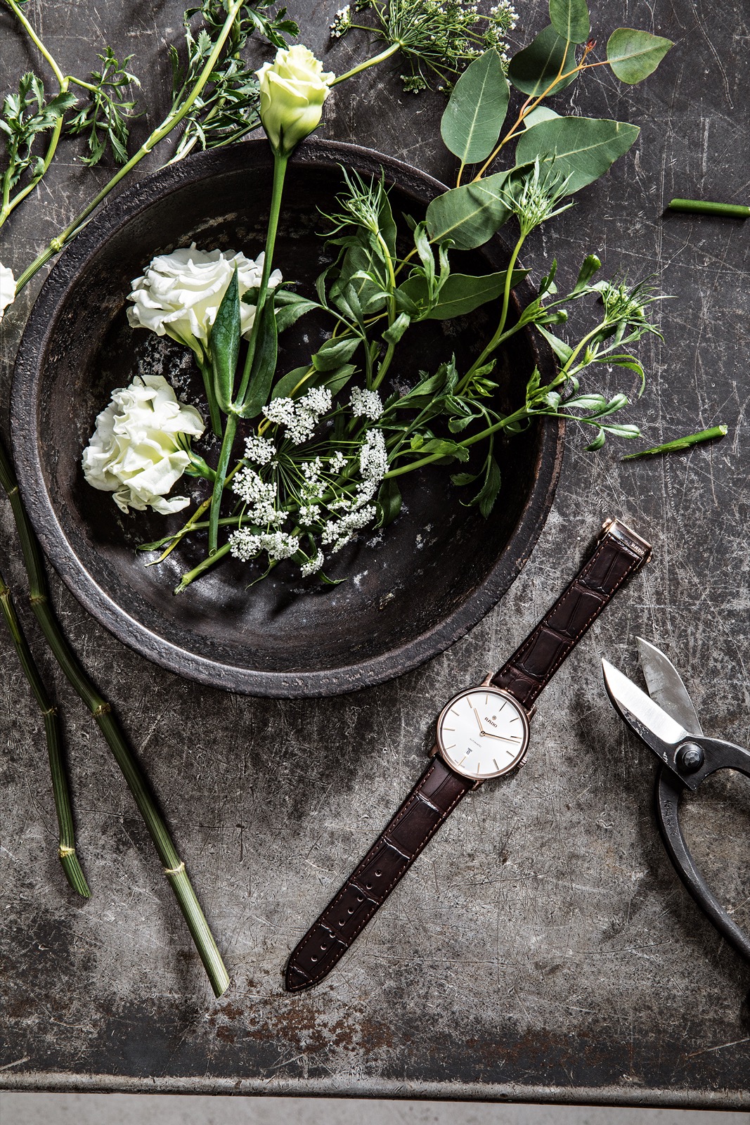 Rado Diamaster Ceramos