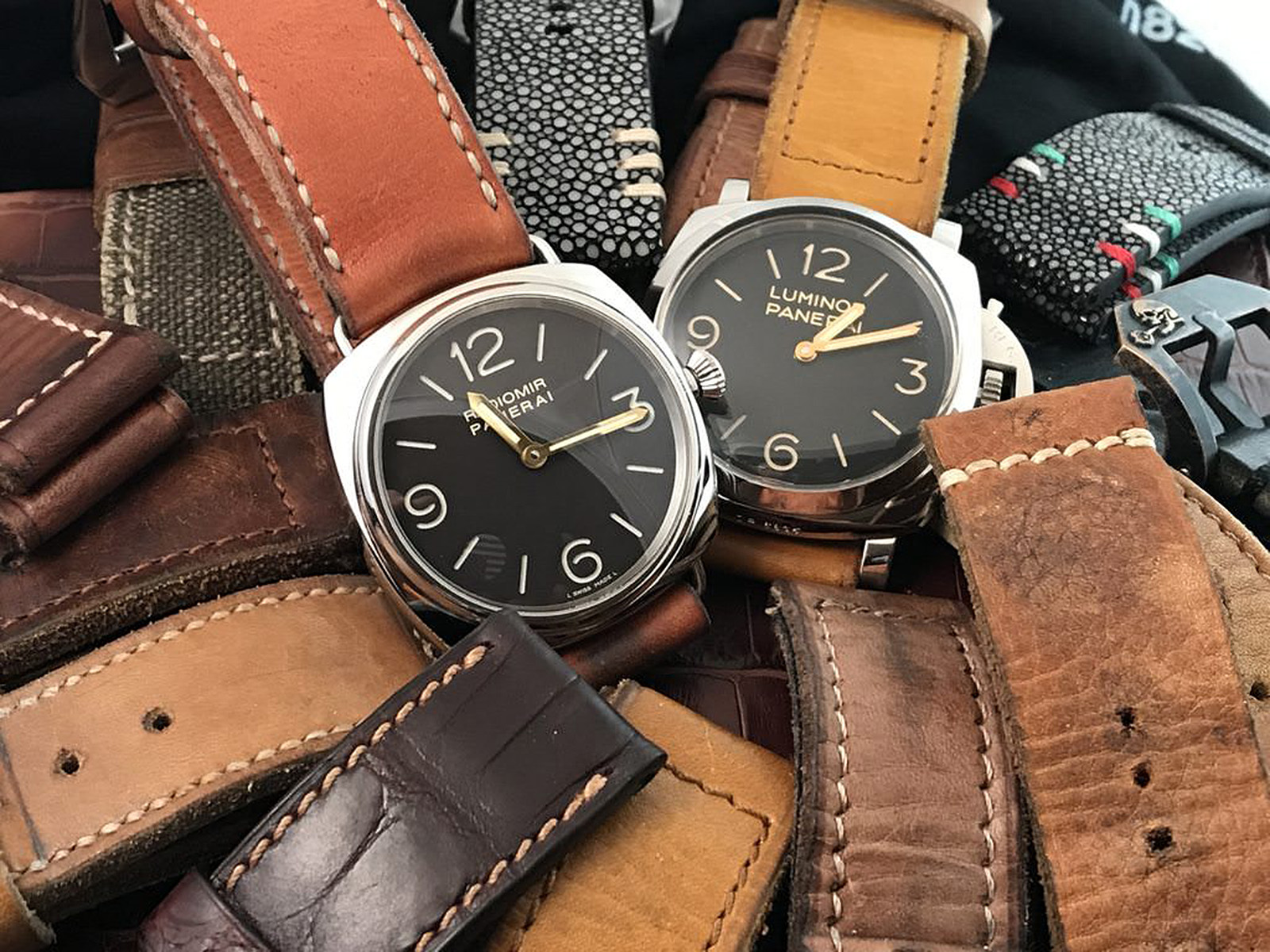 correas panerai