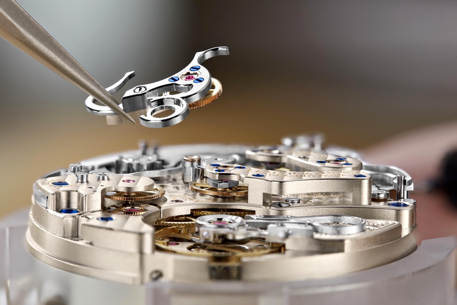 Lange 1815 Chronograph Corredera