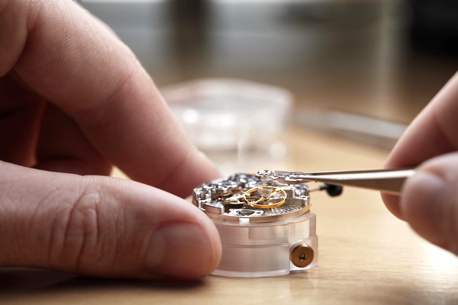 Lange 1815 Chronograph Oscilador