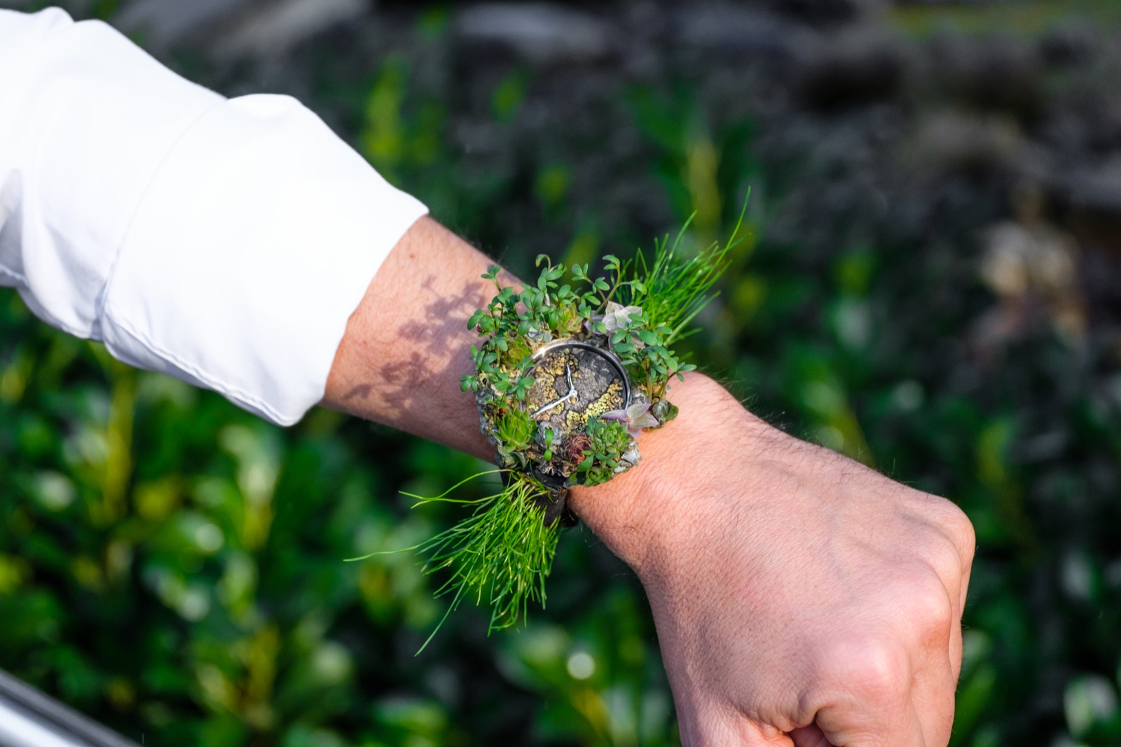 H.Moser Nature Watch