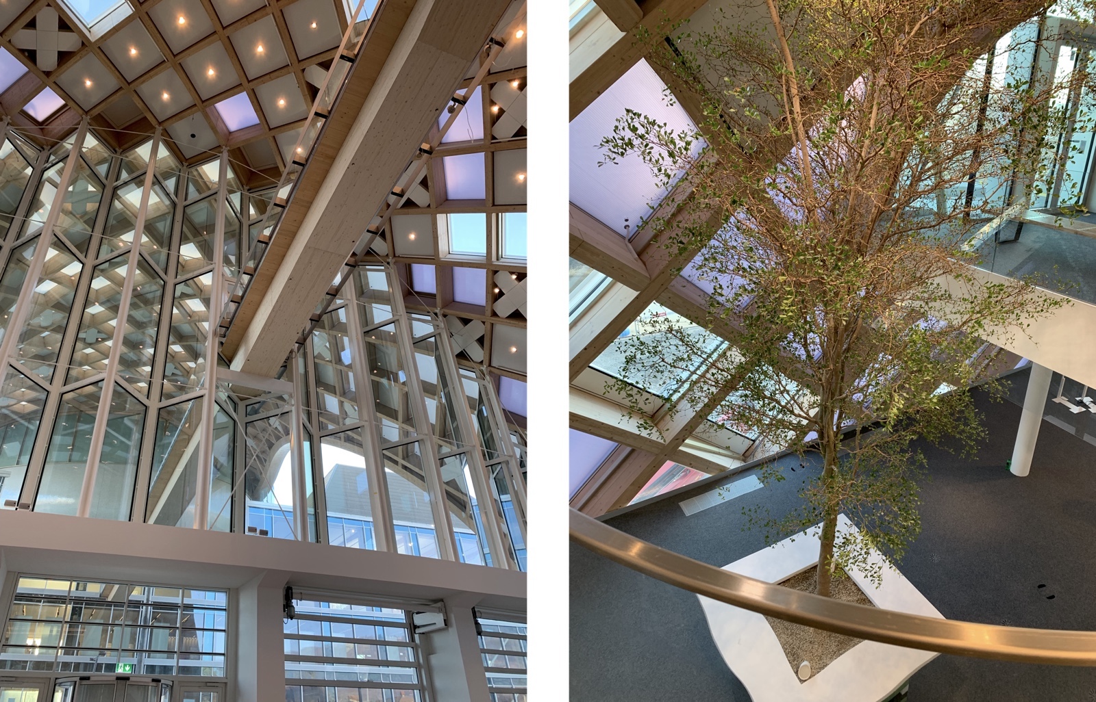 Swatch Flymagic Swatch HQ Building 2