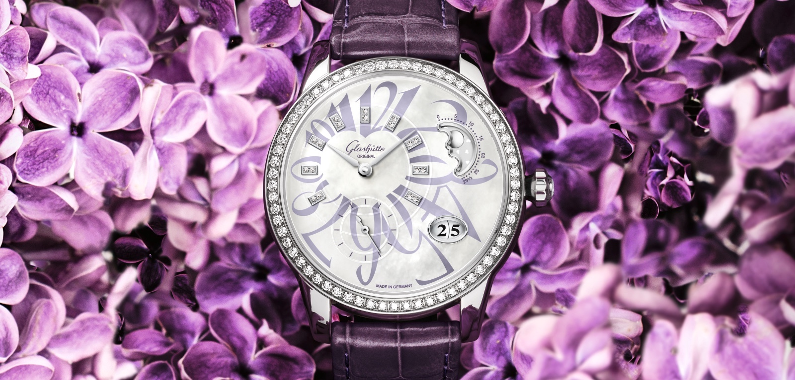 Glashütte Original PanoMatic Luna Valentín 2020 Cover