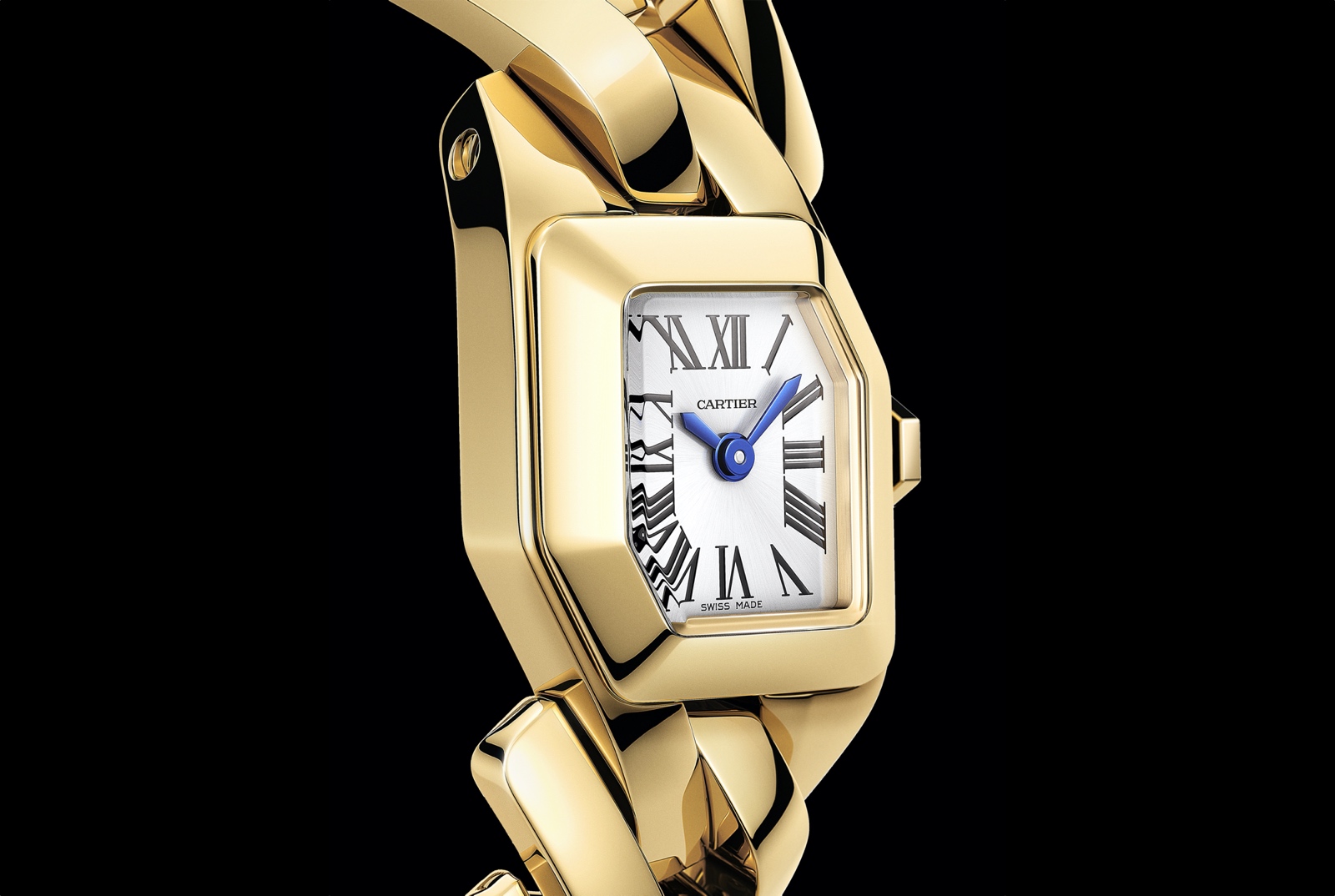 Maillon de Cartier - case profil