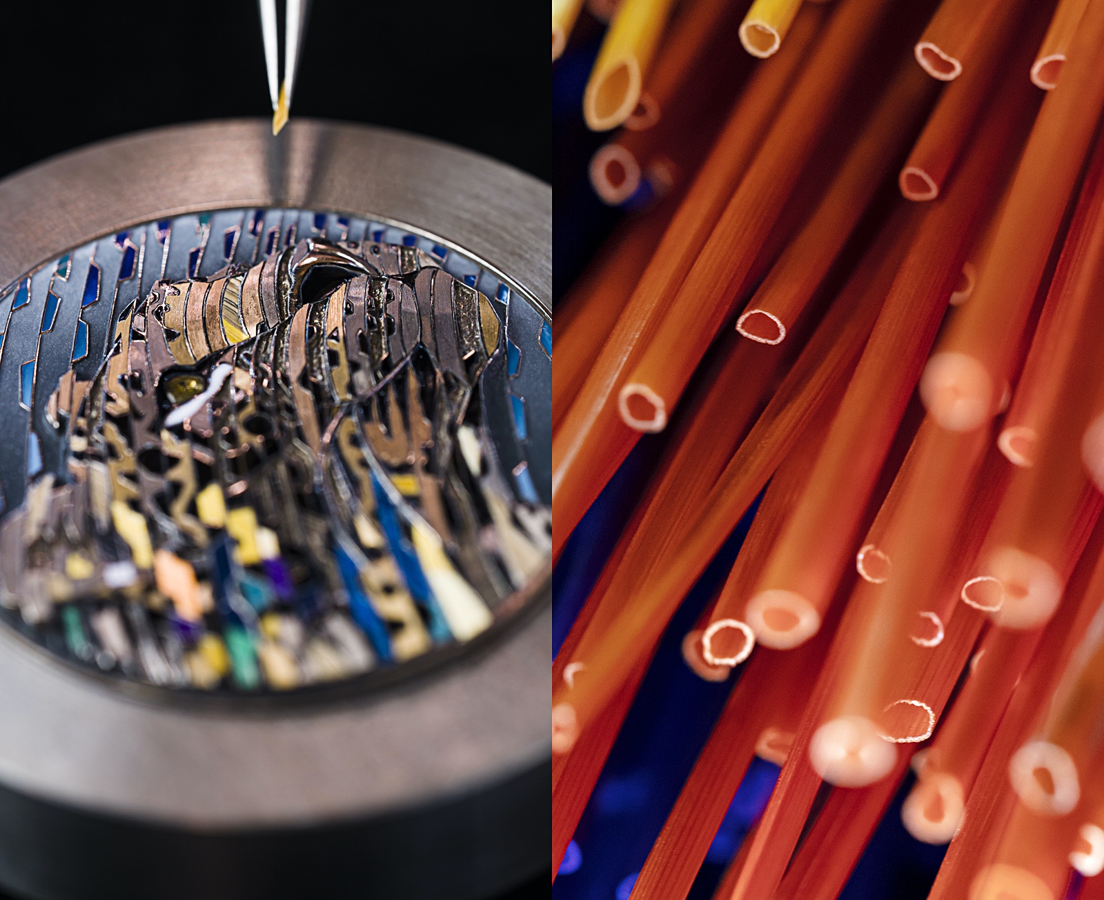 Metiers d'Art de Cartier 2020 - detalle