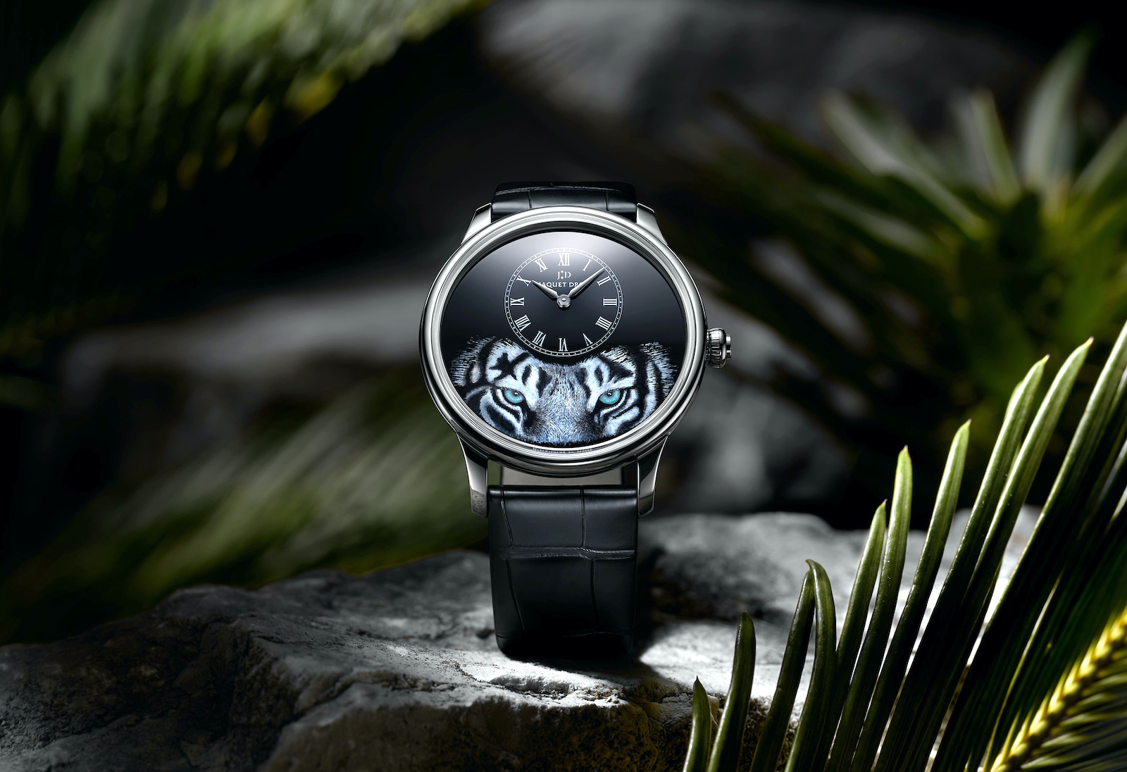 Jaquet Droz Petite Heure Minute Tiger - lifestyle
