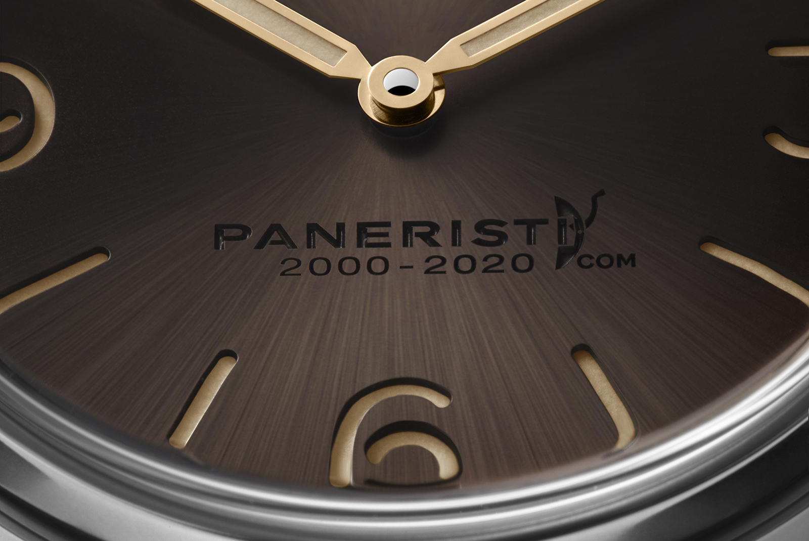 Panerai Radiomir Venti PAM02020