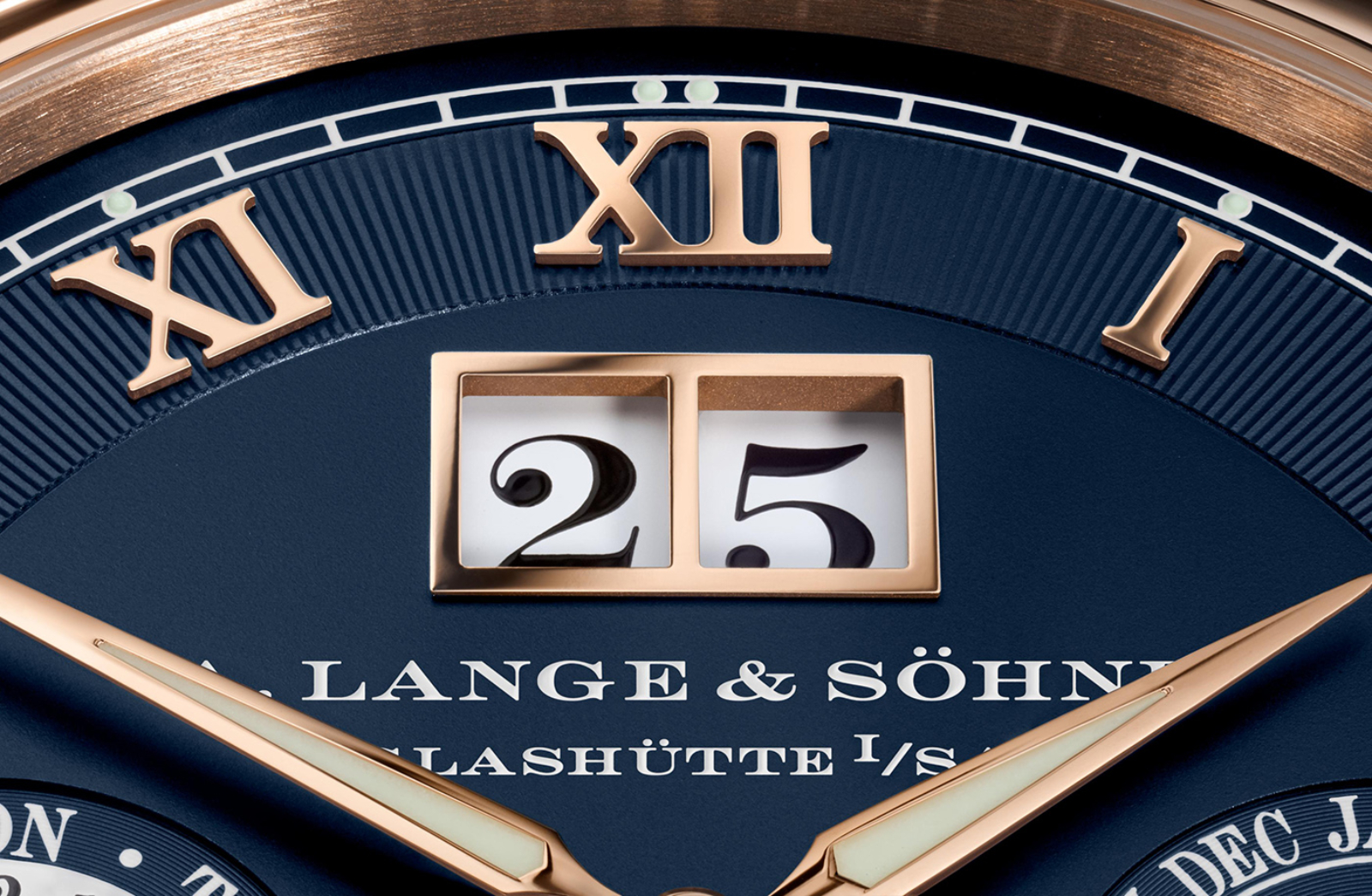 A. Lange & Söhne Langematik Perpetual 20º aniversario