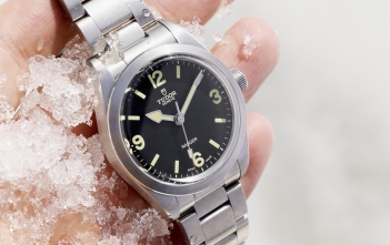 Tudor Ranger