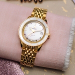 Rado Captain Cook x Marina Hoermanseder Heartbeat