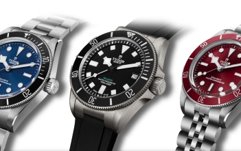 Tudor Wayches and Wonders 2025