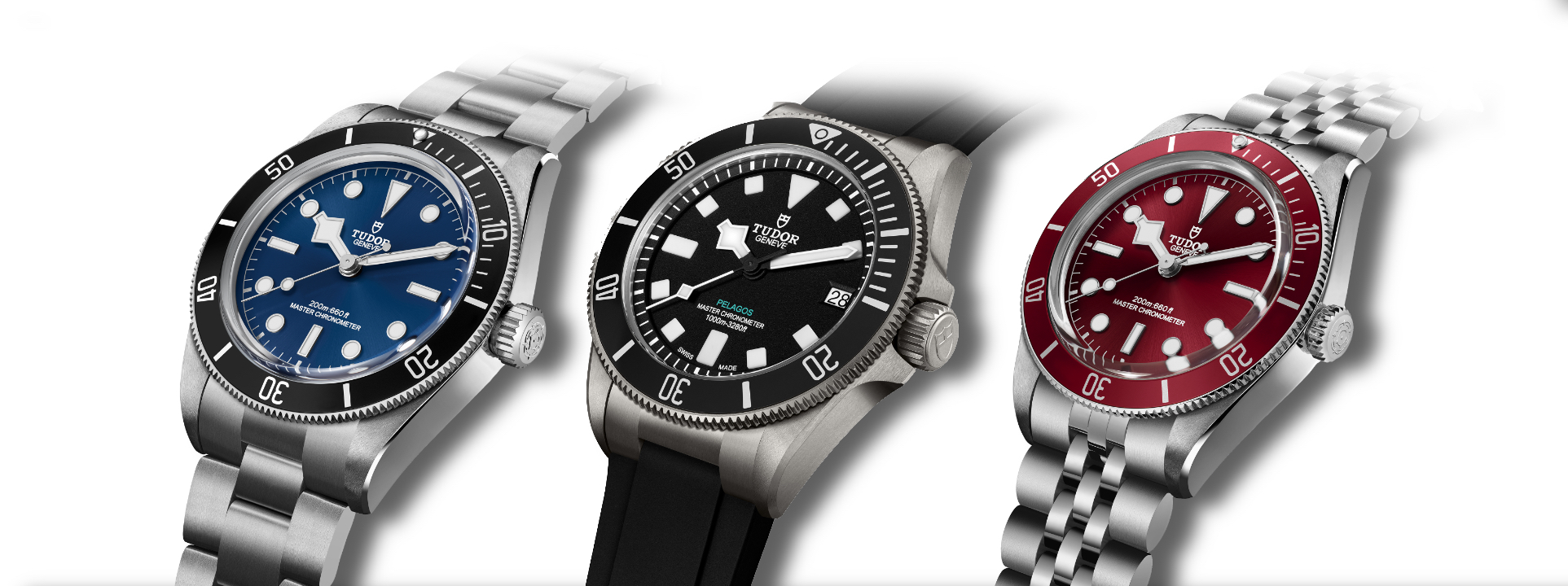 Tudor Wayches and Wonders 2025