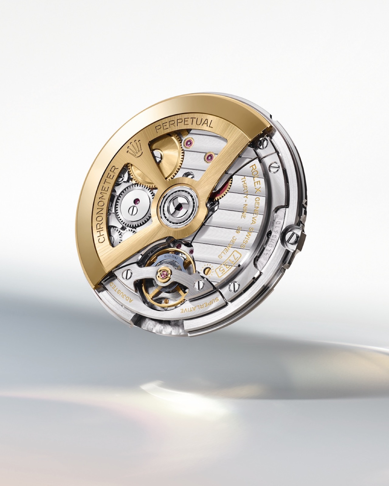Rolex Land-Dweller_18