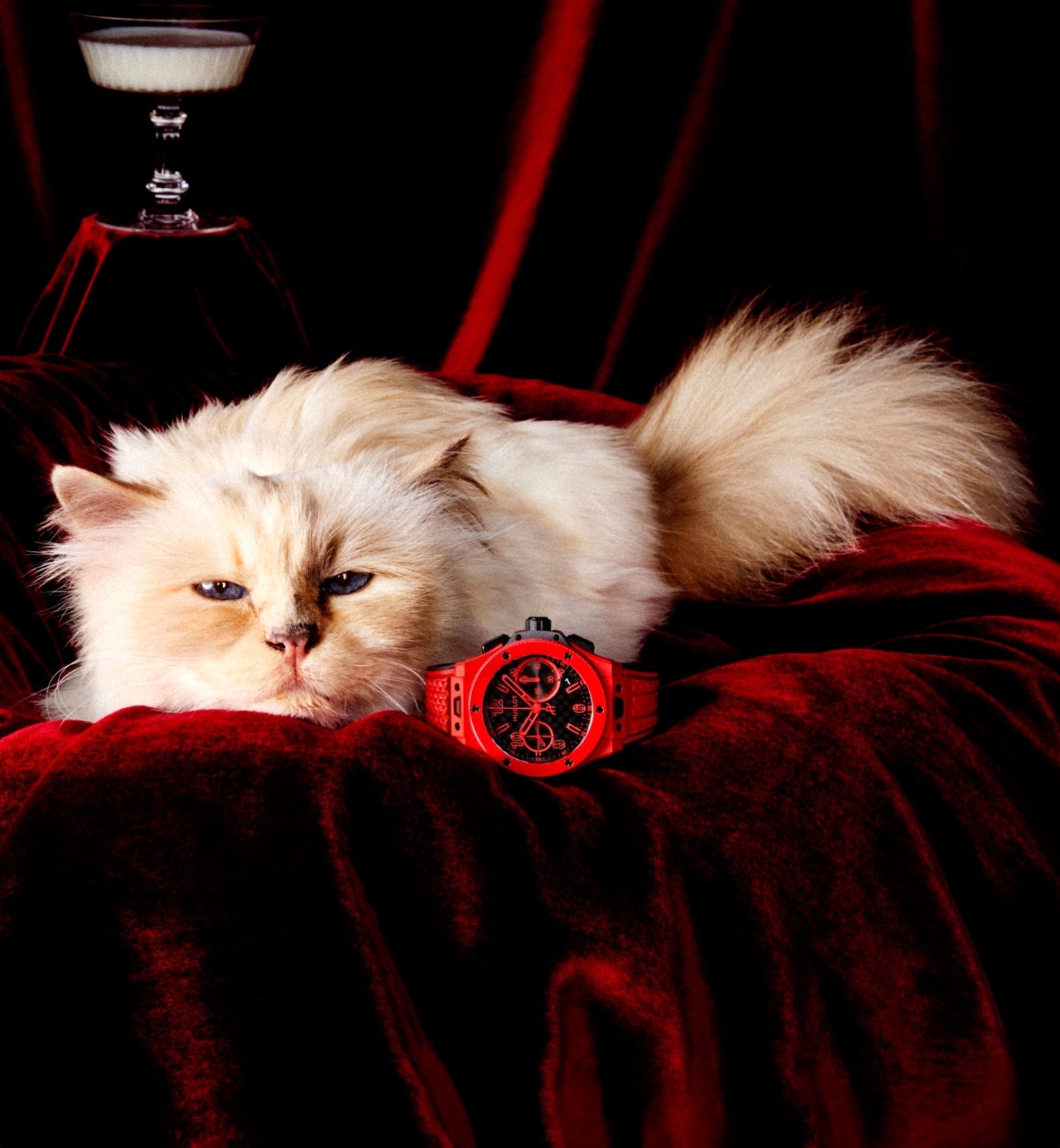 Hublot y Choupette - Big Bang 20th Anniversary Red Magic - art 02