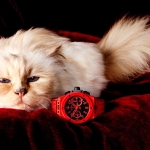 Choupette protagoniza la nueva campaña publicitaria de Hublot