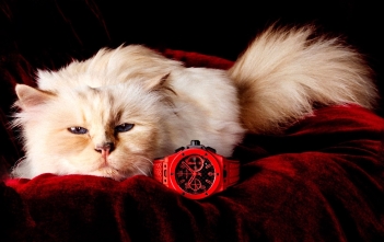 Hublot y Choupette - Big Bang 20th Anniversary Red Magic - cover
