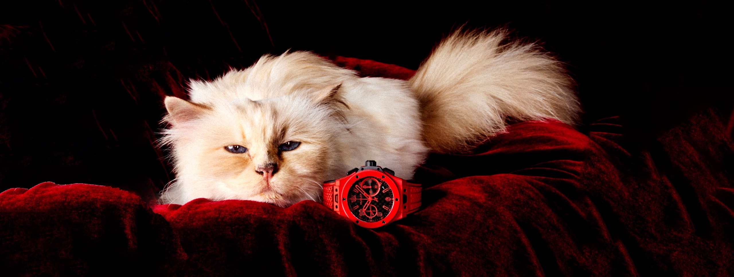 Hublot y Choupette - Big Bang 20th Anniversary Red Magic - cover