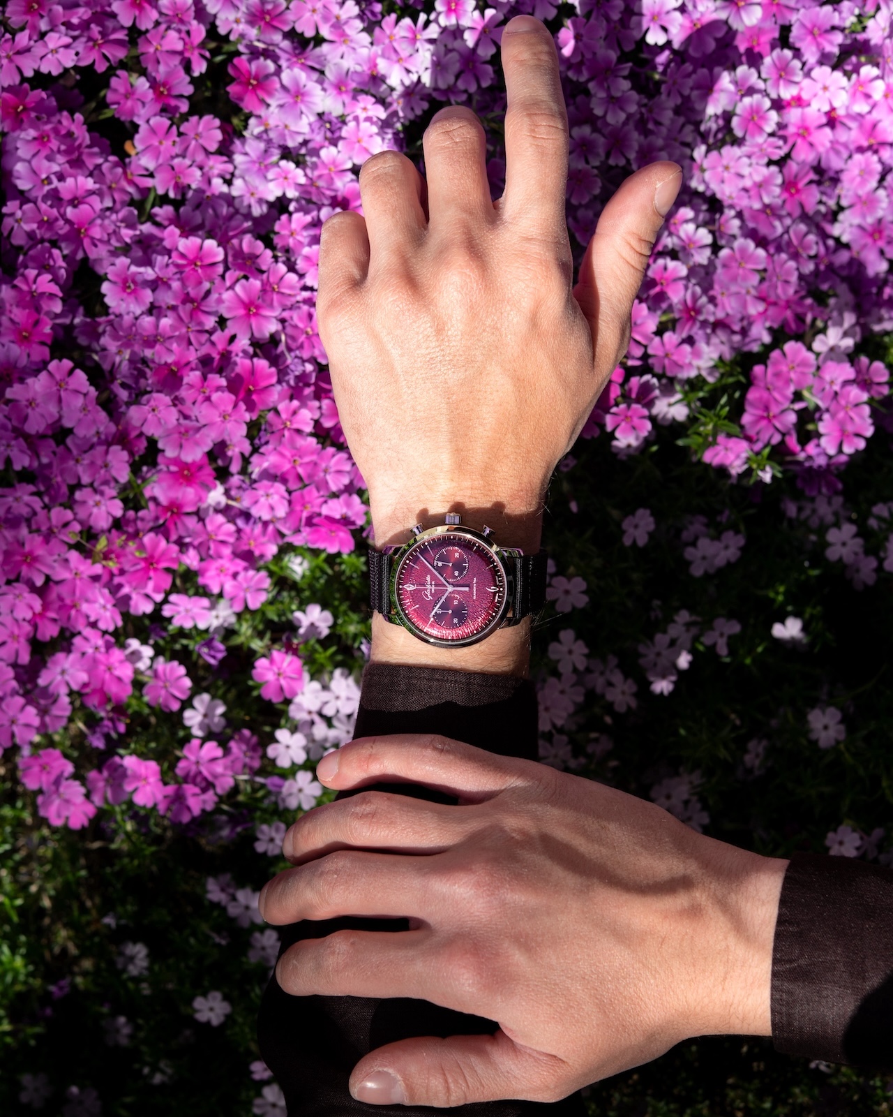 Glashutte Original Sixties Chronograph Annual Edition 2026 - lifestyle